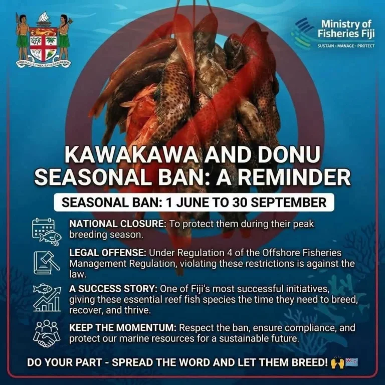 Final push urged as seasonal kawakawa and donu ban nears end
