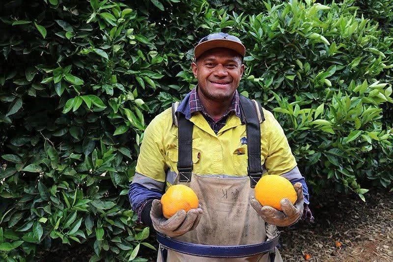Australian Employers Select PALM Workers, Not Ministry