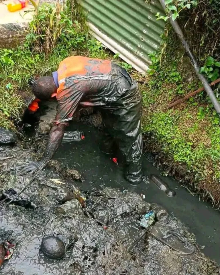$200 Littering Fine Takes Effect as Government Urges Fijians to Change Behaviour