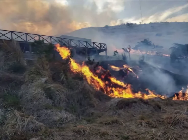 NFA Raises Alarm Over Bush, Grass and Cane Fires in Western Division