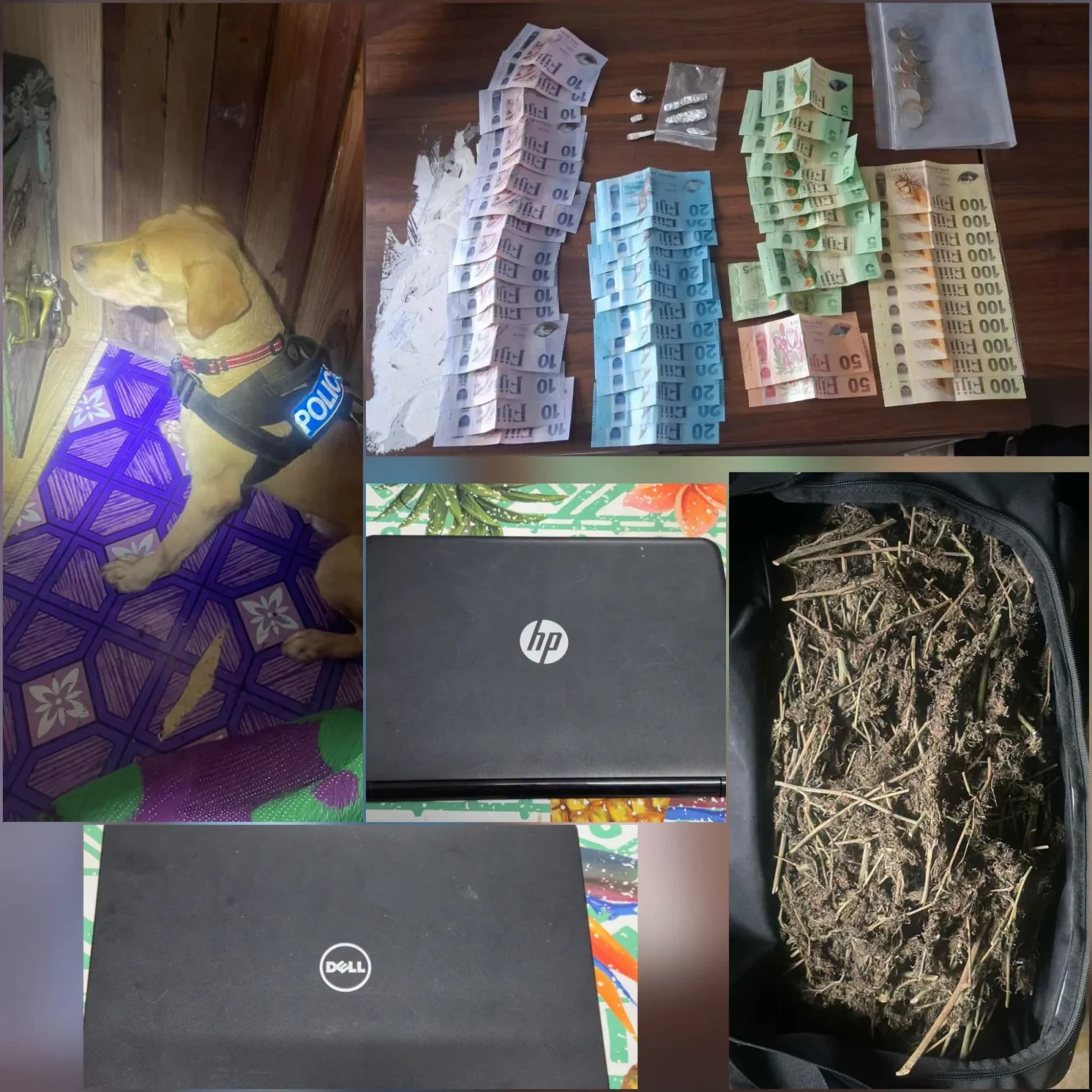 Joint Police Operations Lead to Drug and Theft Arrests