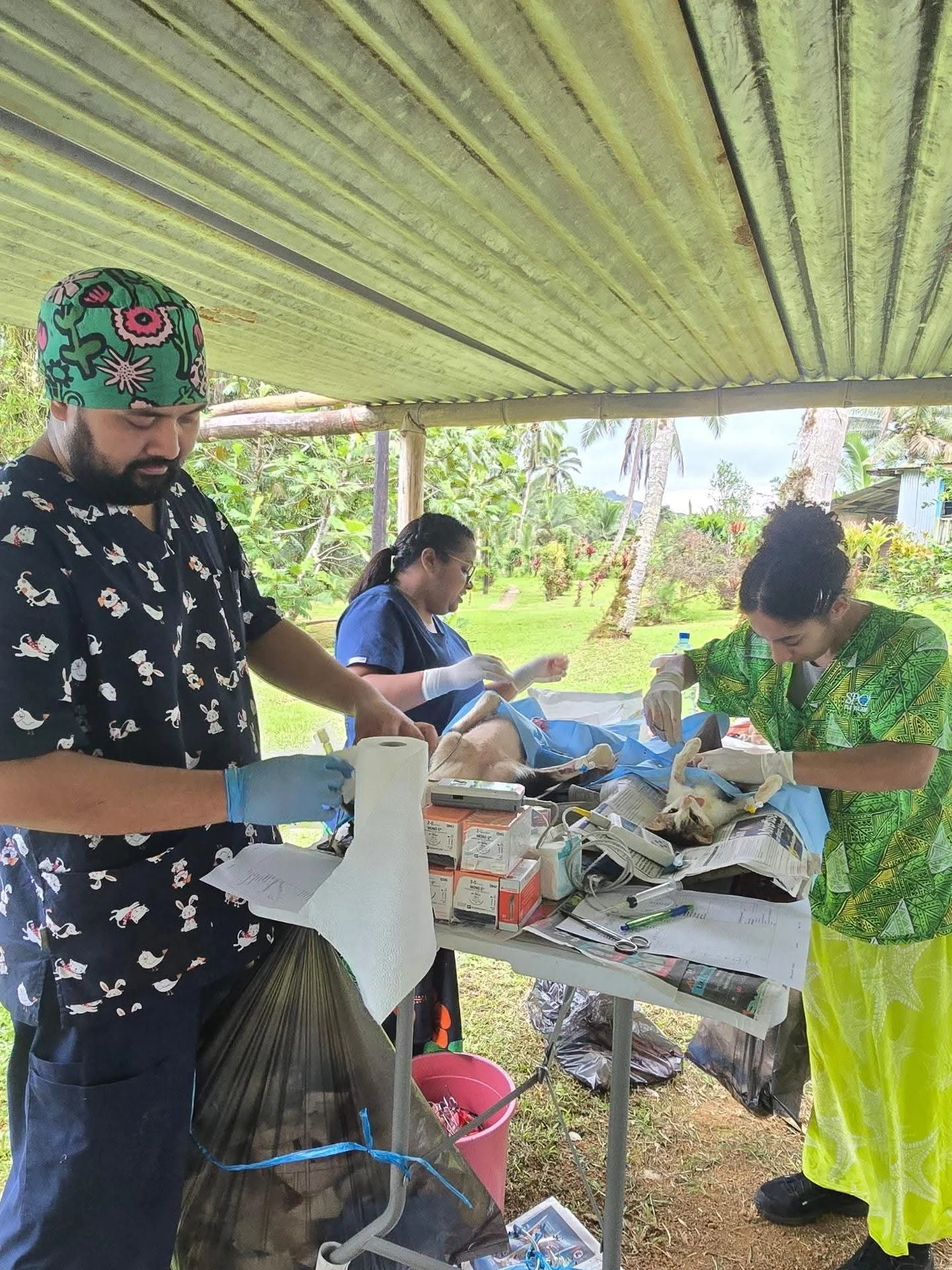 SPCA Fiji Takes Desexing Services to Naqara Village