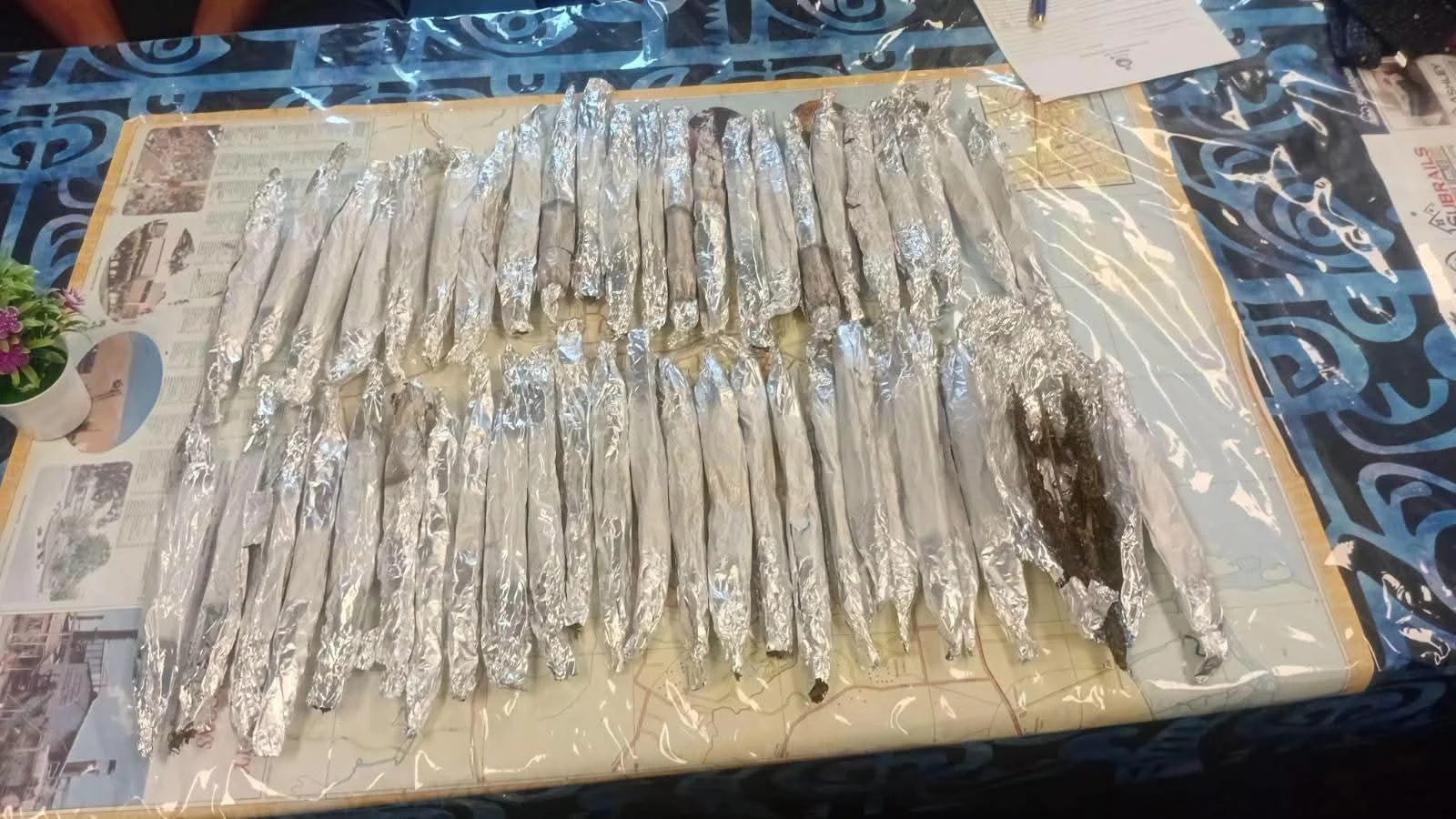 Police Seize Suspected Marijuana in Lautoka, Savusavu and Labasa