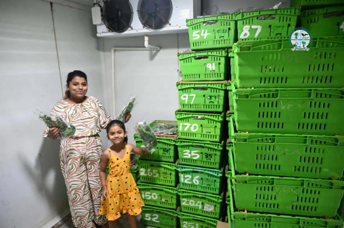 Young Sigatoka Entrepreneur Takes Fiji Produce to Global Markets