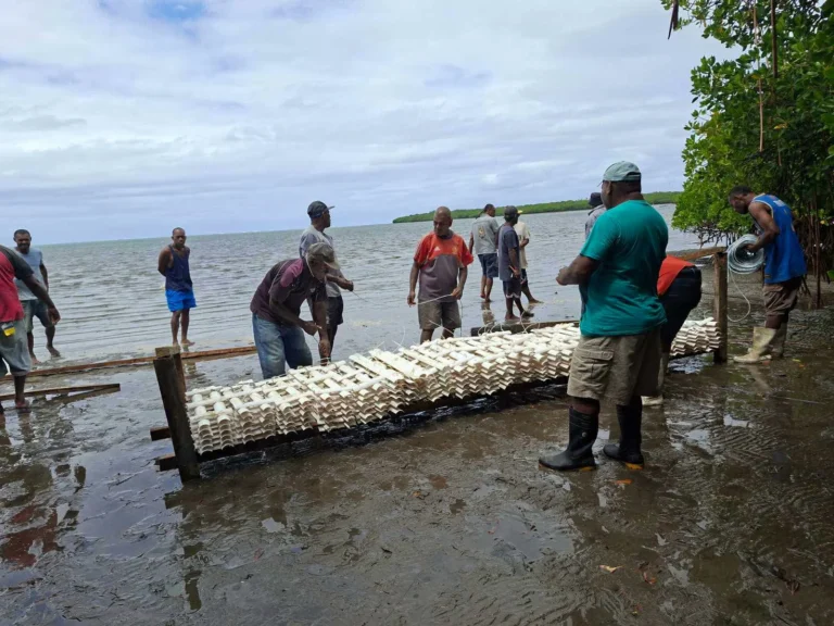 Tailevu Communities Strengthen Oyster Farming Skills