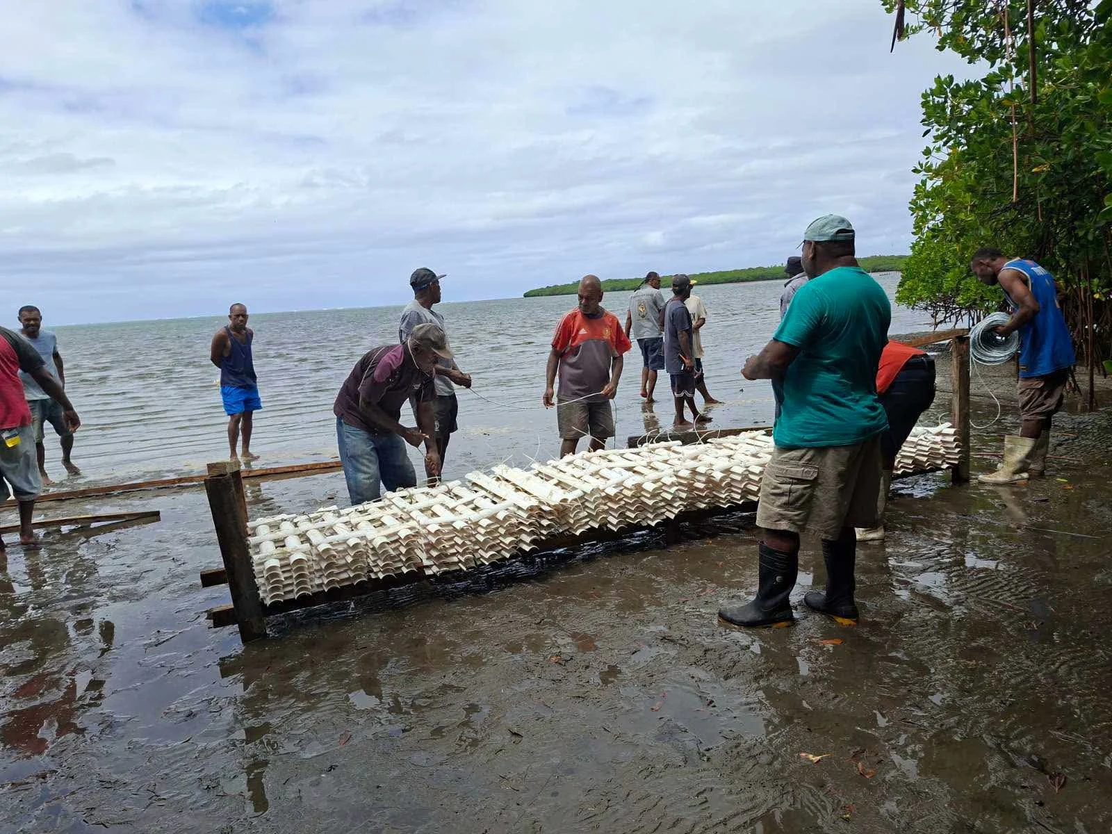 Tailevu Communities Strengthen Oyster Farming Skills
