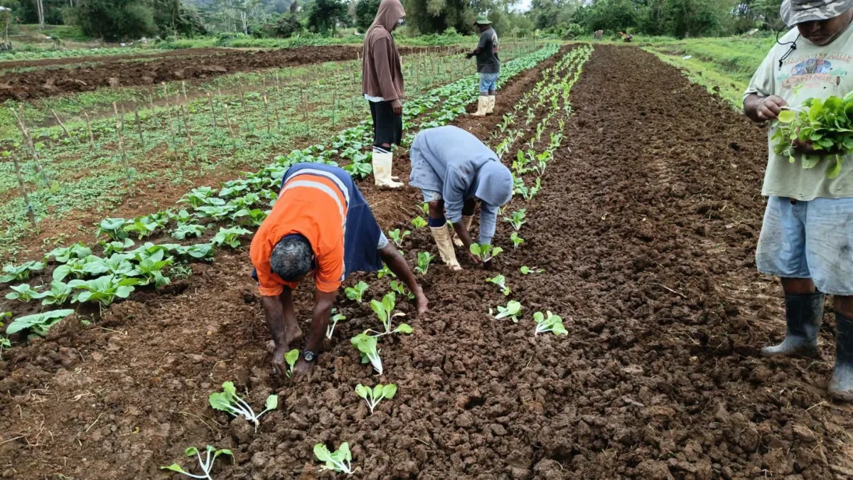 RKS Students Reap Benefits From School Farm