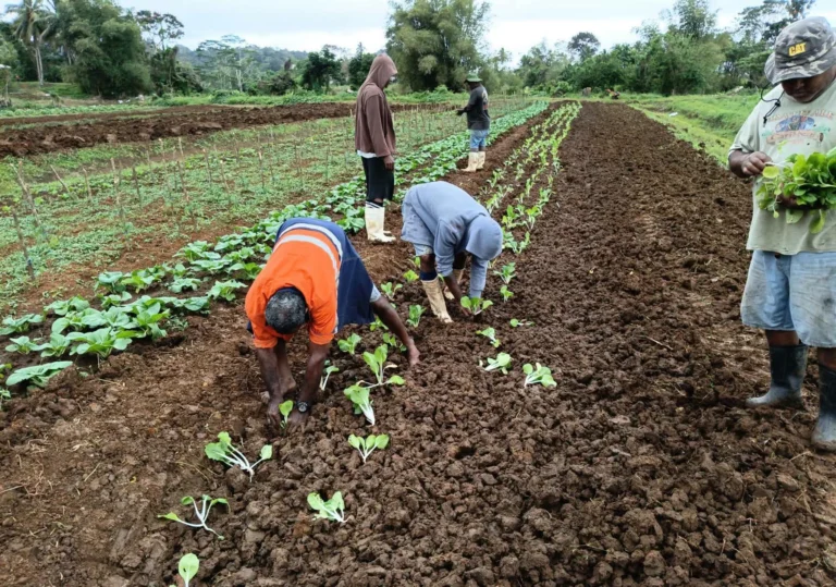 RKS Students Reap Benefits From School Farm