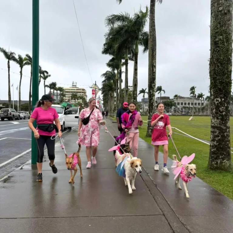 Dogs Join Fiji Cancer Society’s Pink Walk
