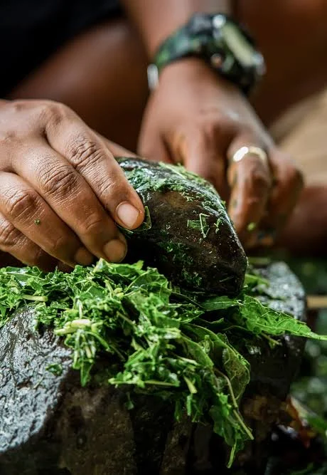 Fiji Health Ministry Warns Public Against False Claims of Herbal HIV Cure