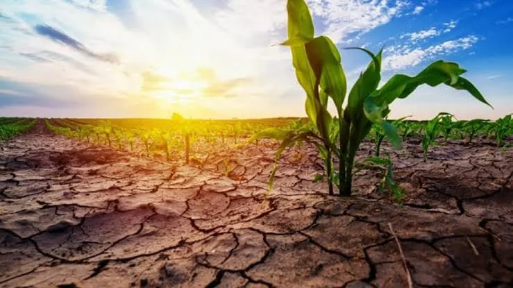 Developing El Niño Reaches Record Strength, Scientists Warn