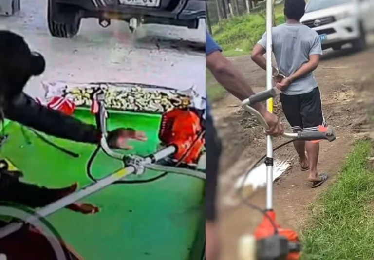 Alleged Grasscutter Thief Arrested