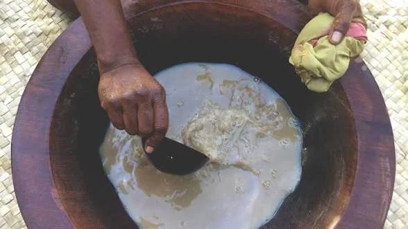 Yaqona Bill Seeks Stronger Protection and Support for Fiji’s Kava Farmers